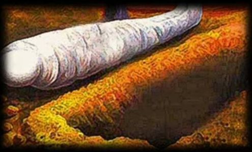 Démonstration sur le Lavage Mortuaire "Naka Laniouy Sangué Nééw" ( VIDEO) Démonstration sur le Lavage Mortuaire "Naka Laniouy Sangué Nééw" ( VIDEO)