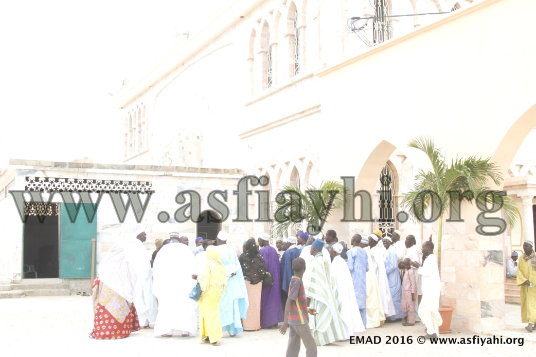 EMAD LES TEMPS FORTS