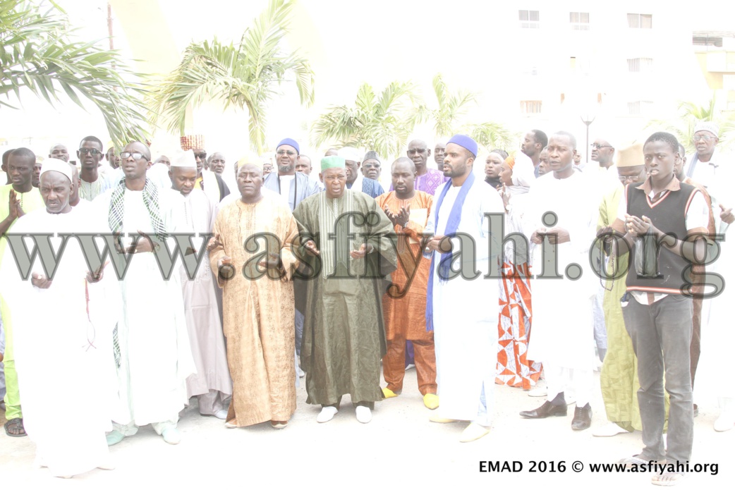 EMAD LES TEMPS FORTS