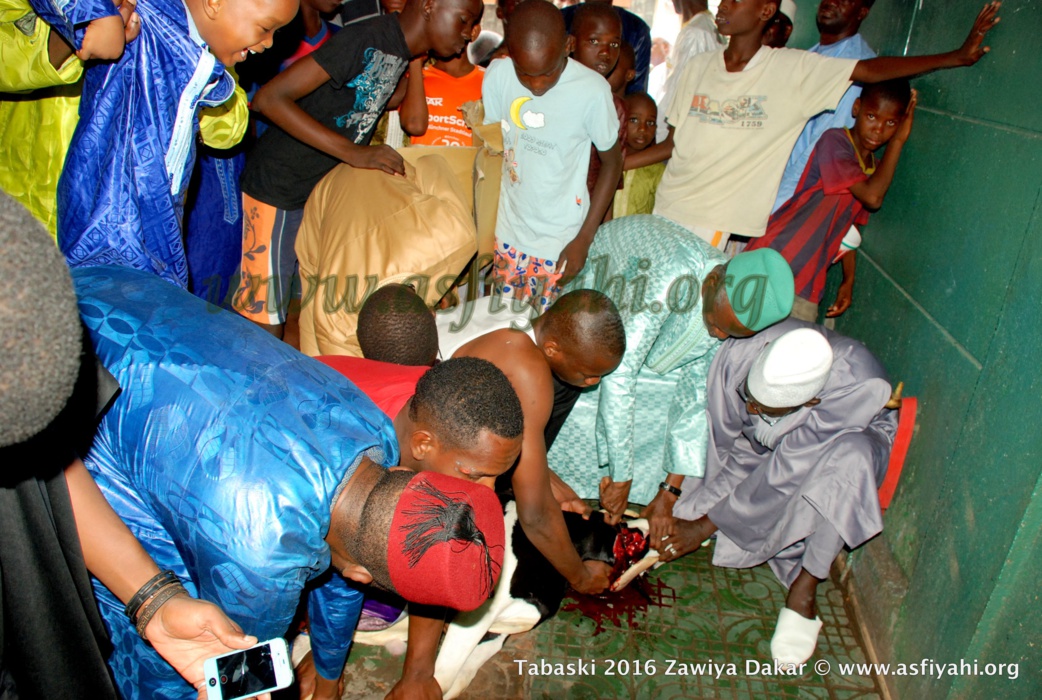 PHOTOS - TABASKI 2016 - Les Images de la Prière de l'Aïd à la Zawiya El Hadj Malick Sy de Dakar