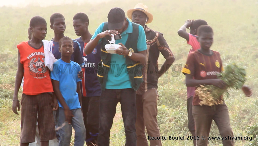 PHOTOS - Regardez les Images de la Récolte des Champs de Boulél (Kaffrine), cultivés par Serigne Abdoul Aziz SY Al Amine