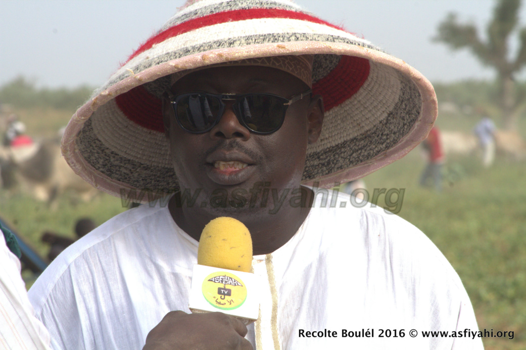 PHOTOS - Regardez les Images de la Récolte des Champs de Boulél (Kaffrine), cultivés par Serigne Abdoul Aziz SY Al Amine