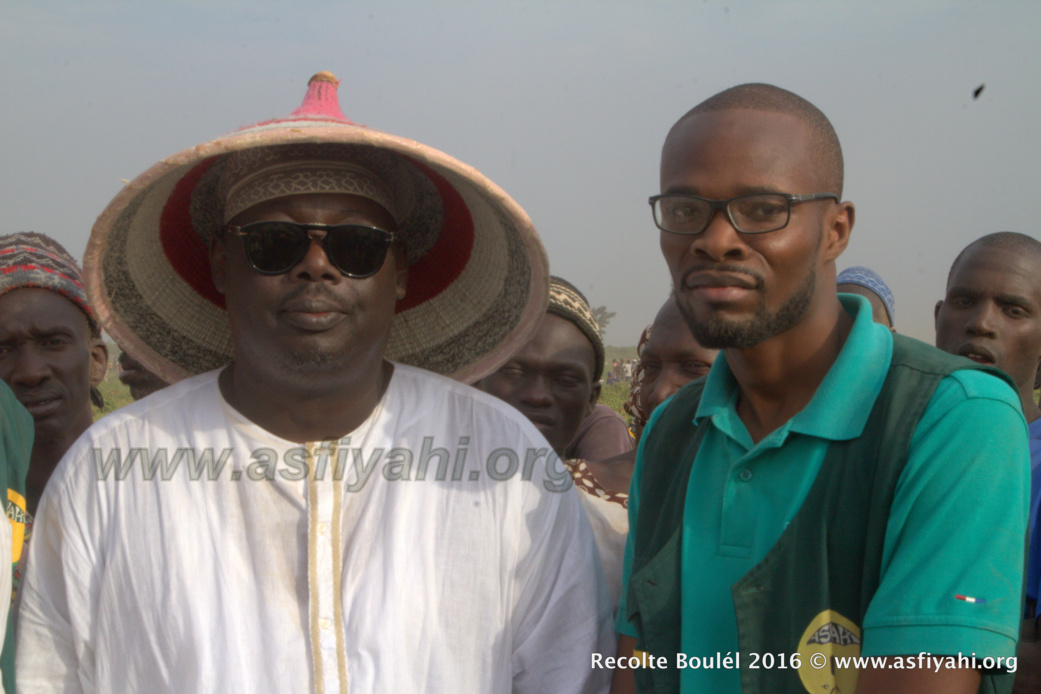 PHOTOS - Regardez les Images de la Récolte des Champs de Boulél (Kaffrine), cultivés par Serigne Abdoul Aziz SY Al Amine