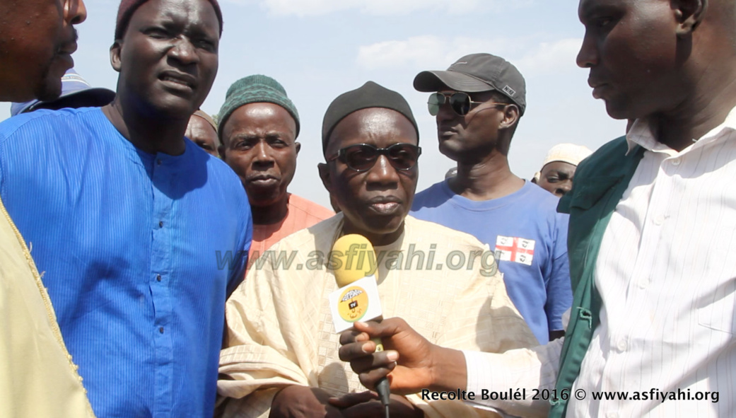 PHOTOS - Regardez les Images de la Récolte des Champs de Boulél (Kaffrine), cultivés par Serigne Abdoul Aziz SY Al Amine