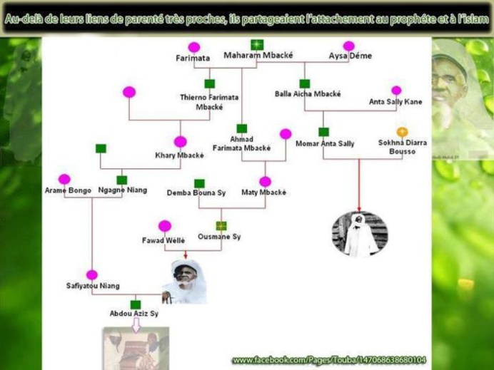Cheikh Ahmadou Bamba MBACKE et Seydil Hadji Malick SY (RTA) : même ascendance, même combat.