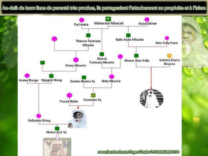 Cheikh Ahmadou Bamba MBACKE et Seydil Hadji Malick SY (RTA) : même ascendance, même combat. Cheikh Ahmadou Bamba MBACKE et Seydil Hadji Malick SY (RTA) : même ascendance, même combat.