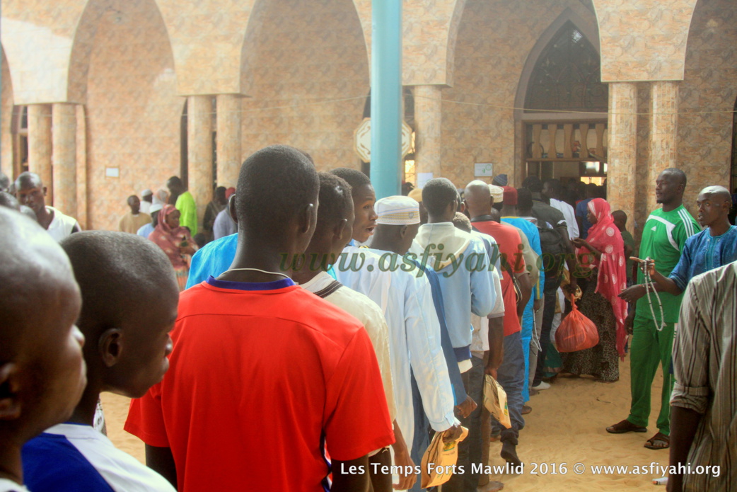 PHOTOS - Dispositif Sécuritaire et Médical, la Cuisine , les Ziarras , les Médias le commerce: Découvrez quelques  temps-forts du Gamou de Tivaouane 2016
