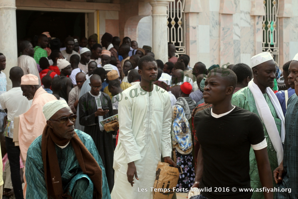 PHOTOS - Dispositif Sécuritaire et Médical, la Cuisine , les Ziarras , les Médias le commerce: Découvrez quelques  temps-forts du Gamou de Tivaouane 2016