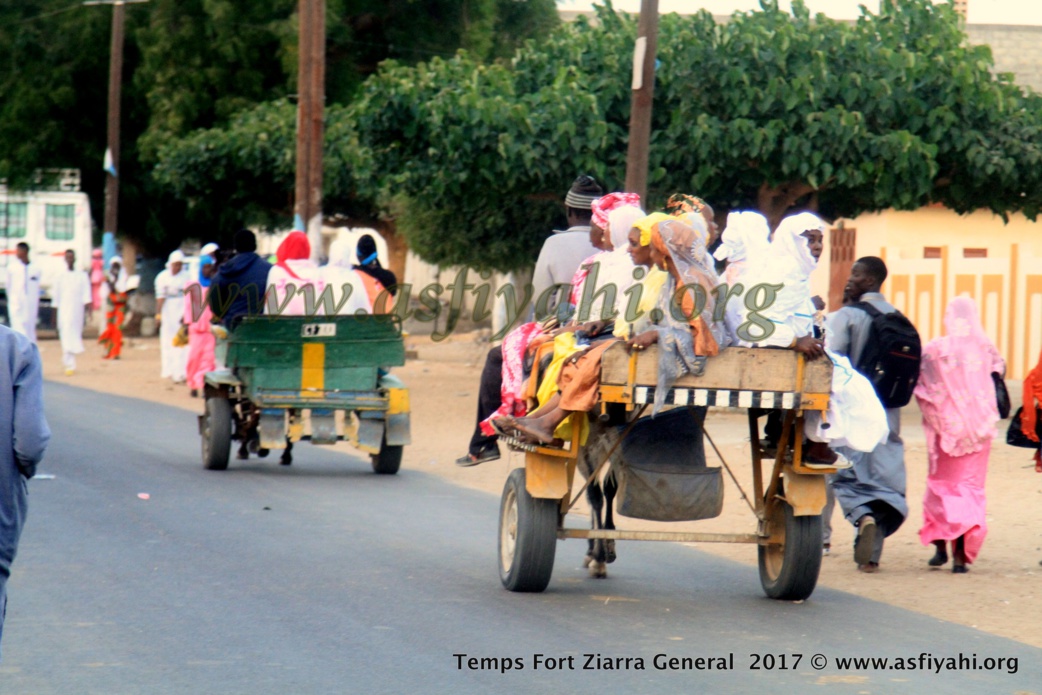 PHOTOS - ALBUM 3 - ZIARRE GENERALE 2017 - Les fidèles s’abreuvent aux sources d'El Hadji Malick Sy (rta)