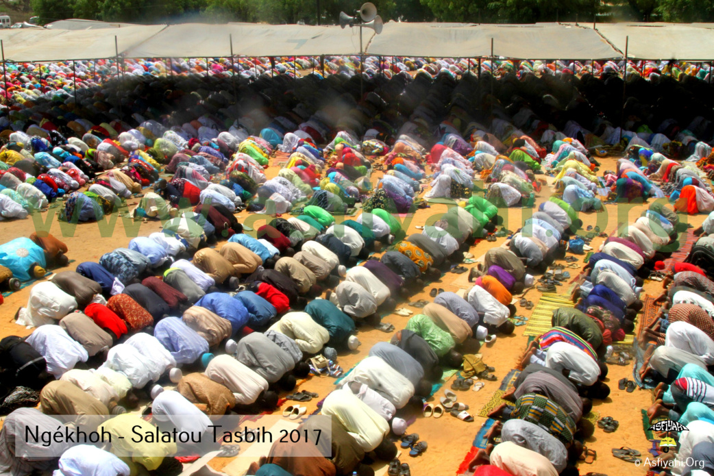 PHOTOS - NGÉKHOKH - Les Images de la Salatou Tasbih 2017 organisée par la famille d'El Hadj Elimane Sakho (rta) PHOTOS - NGÉKHOKH - Les Images de la Salatou Tasbih 2017 organisée par la famille d'El Hadj Elimane Sakho (rta)