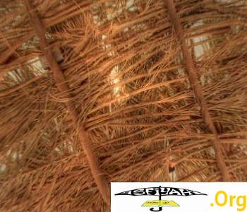 PHOTOS & VIDEOS : Visitez la maison du Prophète (sws) comme si vous y étiez !