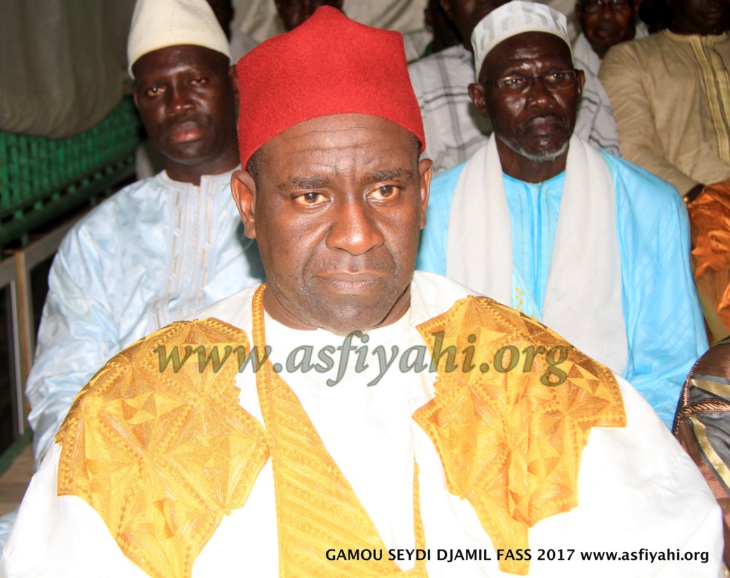 PHOTOS - FASS - les Images du Gamou Djamil Yi (Les Homonymes de Seydi Djamil), édition 2017