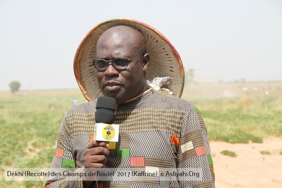 PHOTOS - Regardez les Images de la Récolte 2017 des Champs de Boulél (Kaffrine), cultivés par Serigne Abdoul Aziz SY Al Amine