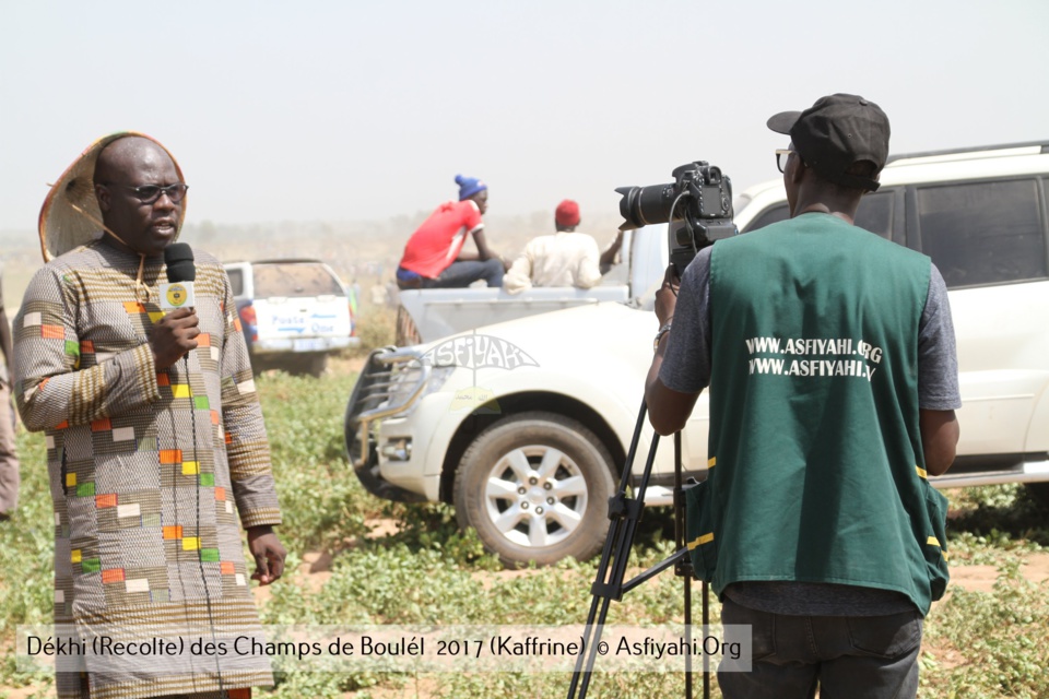 PHOTOS - Regardez les Images de la Récolte 2017 des Champs de Boulél (Kaffrine), cultivés par Serigne Abdoul Aziz SY Al Amine