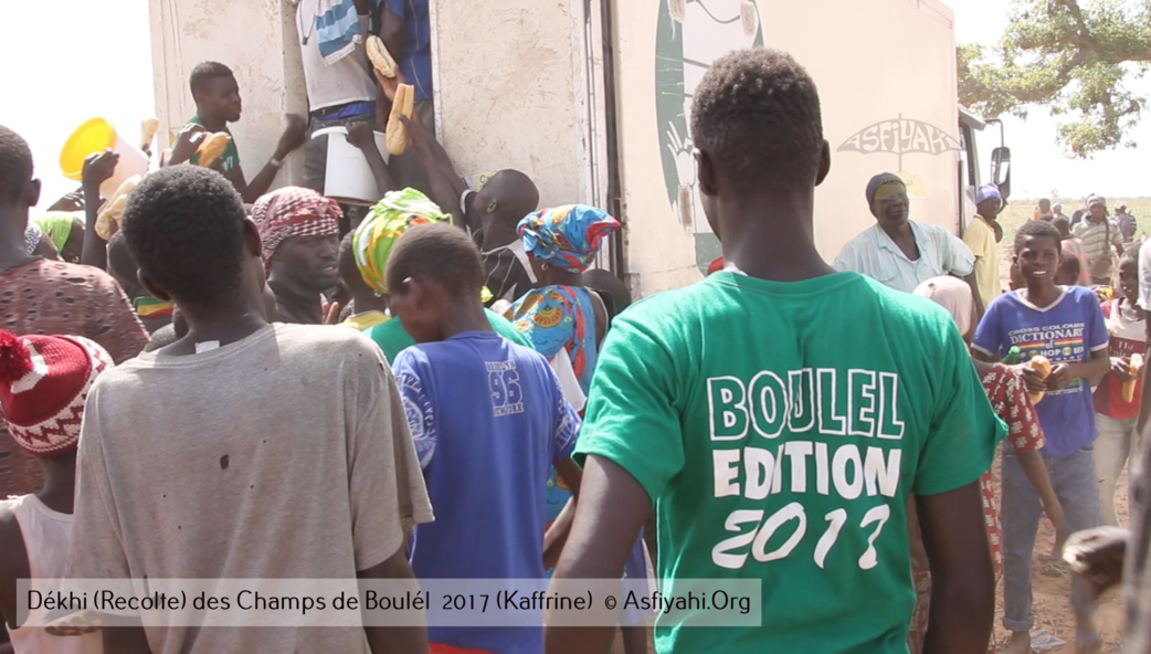 PHOTOS - Regardez les Images de la Récolte 2017 des Champs de Boulél (Kaffrine), cultivés par Serigne Abdoul Aziz SY Al Amine