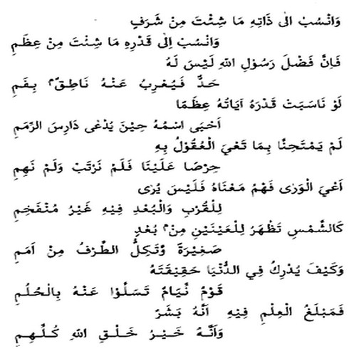 PAGE 7 PAGE 7