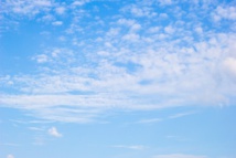 les meilleures femmes du paradis les meilleures femmes du paradis