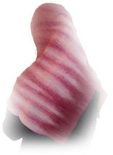 LA PÉRIODE MENSTRUELLE : Le miracle scientifique des menstrues dans le Saint-Coran, les conduites à tenir pendant la prière, le Ramadan et les rapports intimes etc... LA PÉRIODE MENSTRUELLE : Le miracle scientifique des menstrues dans le Saint-Coran, les conduites à tenir pendant la prière, le Ramadan et les rapports intimes etc...
