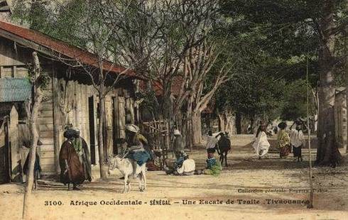 TIVAOUANE, LE REMÈDE : CAPITALE DE LA TIDJANIYA EN AFRIQUE DE L'OUEST