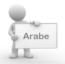 Arabisants et sphère politique : « Islamisation de la contestation »  ou vrai mal d’intégration ?