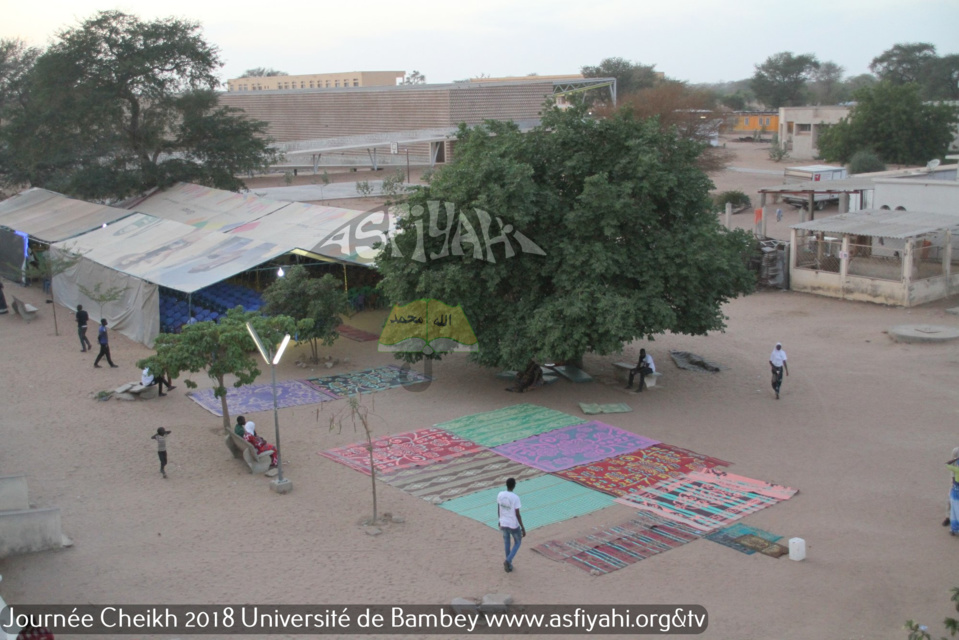 PHOTOS - BAMBEY - Les Images de la Journée Cheikh de l'université Alioune Diop de Bambey