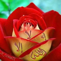 Mémorial des Saintes : Sokhna Safiètou Niang, Sokhna  Sokhna Yacine Dieng et Sokhna Anta Sall, nobles épouses de Seydi El Hadj Malick Sy (RTA)