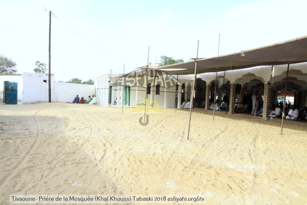 PHOTOS - TABASKI 2018 - Les Images de la Priere à la Mosquée de Khalkhouss en presence du Khalif General des Tidianes Serigne Mbaye SY Mansour
