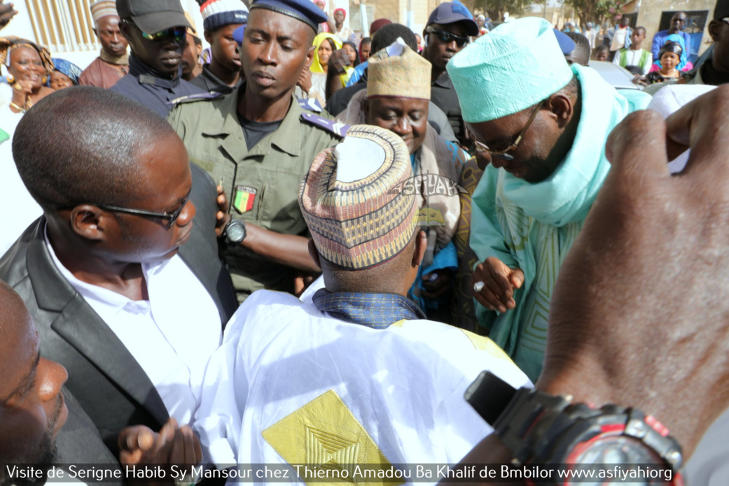 PHOTOS - BAMBILOR - Les Images de la visite de Serigne Habib Sy Mansour chez Thierno Amadou Ba Khalif de Bambilor
