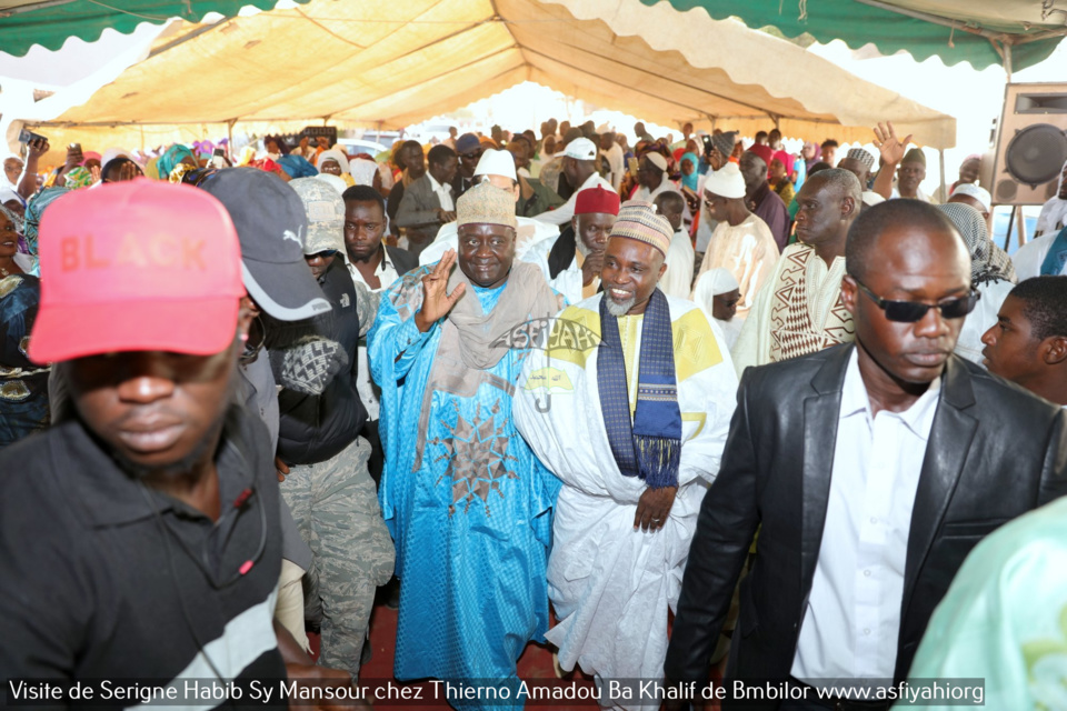 PHOTOS - BAMBILOR - Les Images de la visite de Serigne Habib Sy Mansour chez Thierno Amadou Ba Khalif de Bambilor