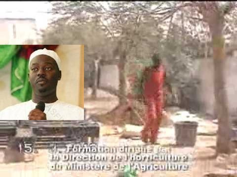 Serigne Moustapha Sy Abdou, Responsable Moral du Dahira Muqtafina