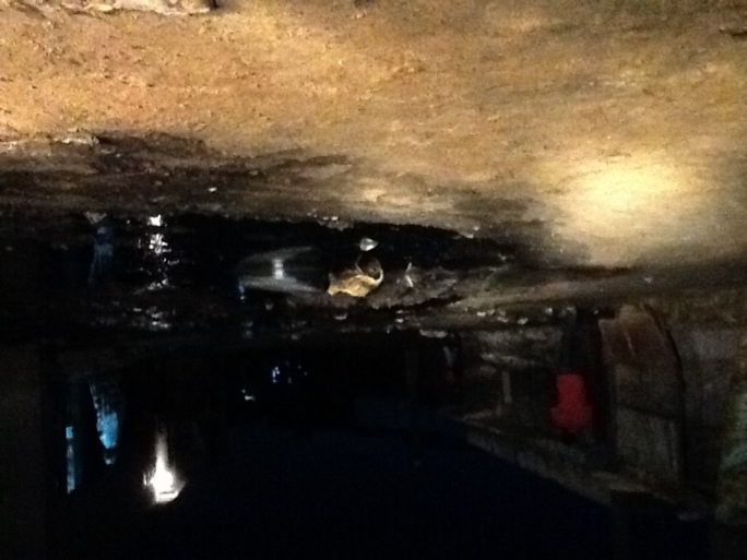 AIDE AUX SINISTRÉS : Asfiyahi a répondu à l'appel Solidaire du Khalif General des Tidianes !