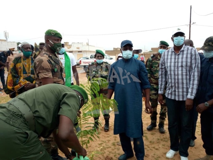 PHOTOS - Campagne de Reboisement 2020 - Plantation d’arbres dans la Ville de Tivaouane.