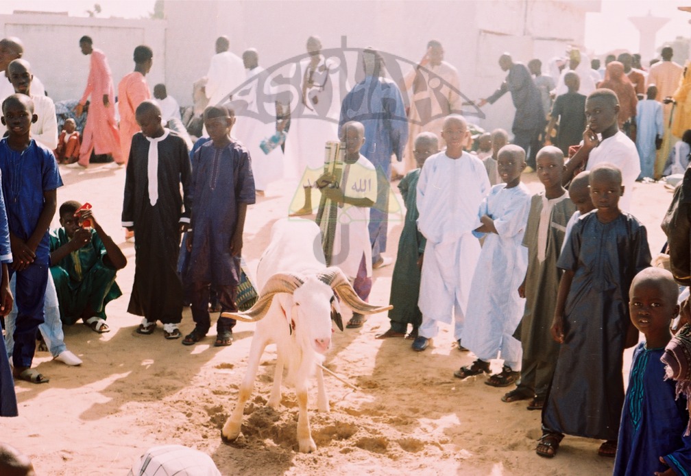 PHOTOS - TIVAOUANE TABASKI 2013 : Les Images de la Prière dirigée par Serigne Mbaye SY Mansour 