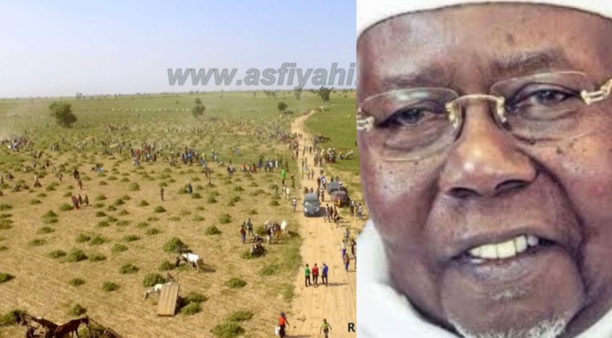 DÉKHI TOLOU BOULEL - Recolte des champs de Boulel (Médina Sy), ce Dimanche 7 Novembre 2021. DÉKHI TOLOU BOULEL - Recolte des champs de Boulel (Médina Sy), ce Dimanche 7 Novembre 2021.