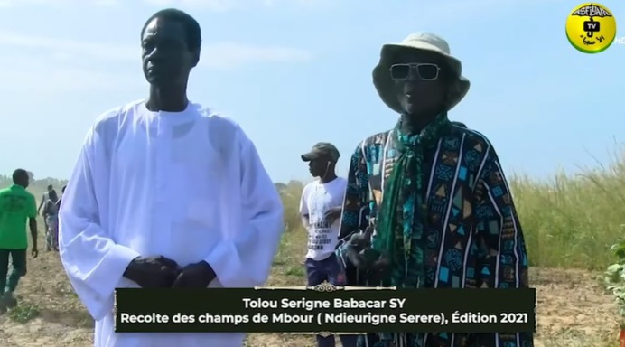 Reportage - Mbour : Dékhi Tolou Sérigne Babacar Sy de Ngérigne