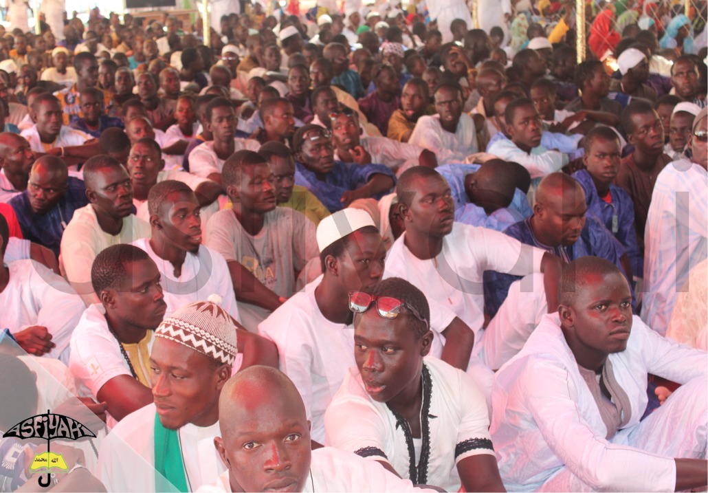 PHOTOS - ACHOURA 2013 À TIVAOUANE : Les Images du Rassemblement de la Jeunesse Tidiane organisé par la Dahira Mouqtafina