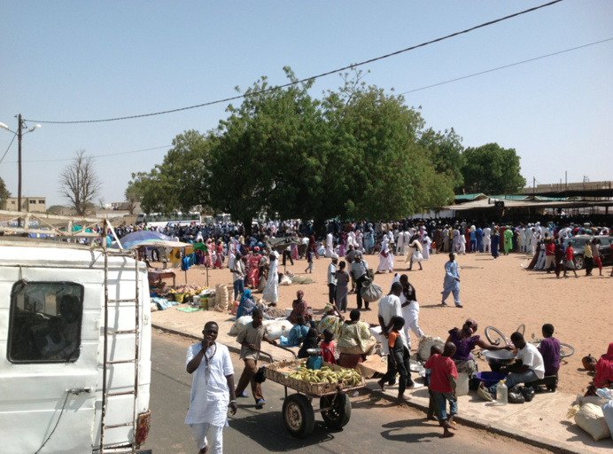 PHOTOS : Les Images de la Journée d'hommage à Serigne Mansour SY Borom Daara Ji du 30 Mars 2014 à Tivaouane