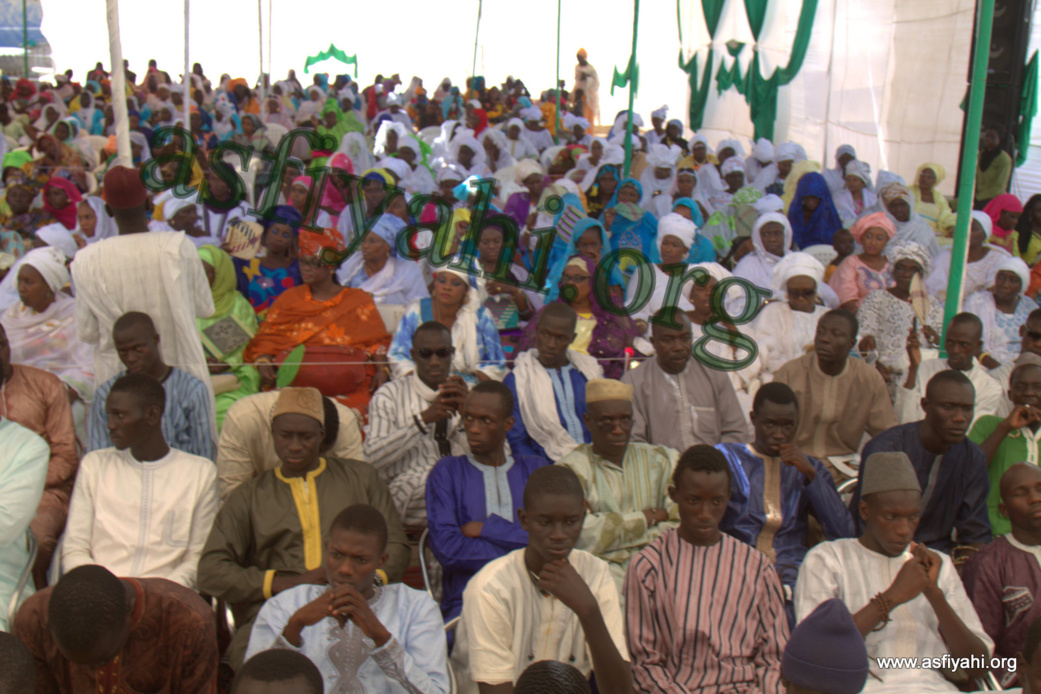 PHOTOS : Les Images  de la Conférence de la Hadara Seydi Djamil 2015 présidée par Serigne Mbaye Sy Abdou, dimanche 21 juin 2015 à fass