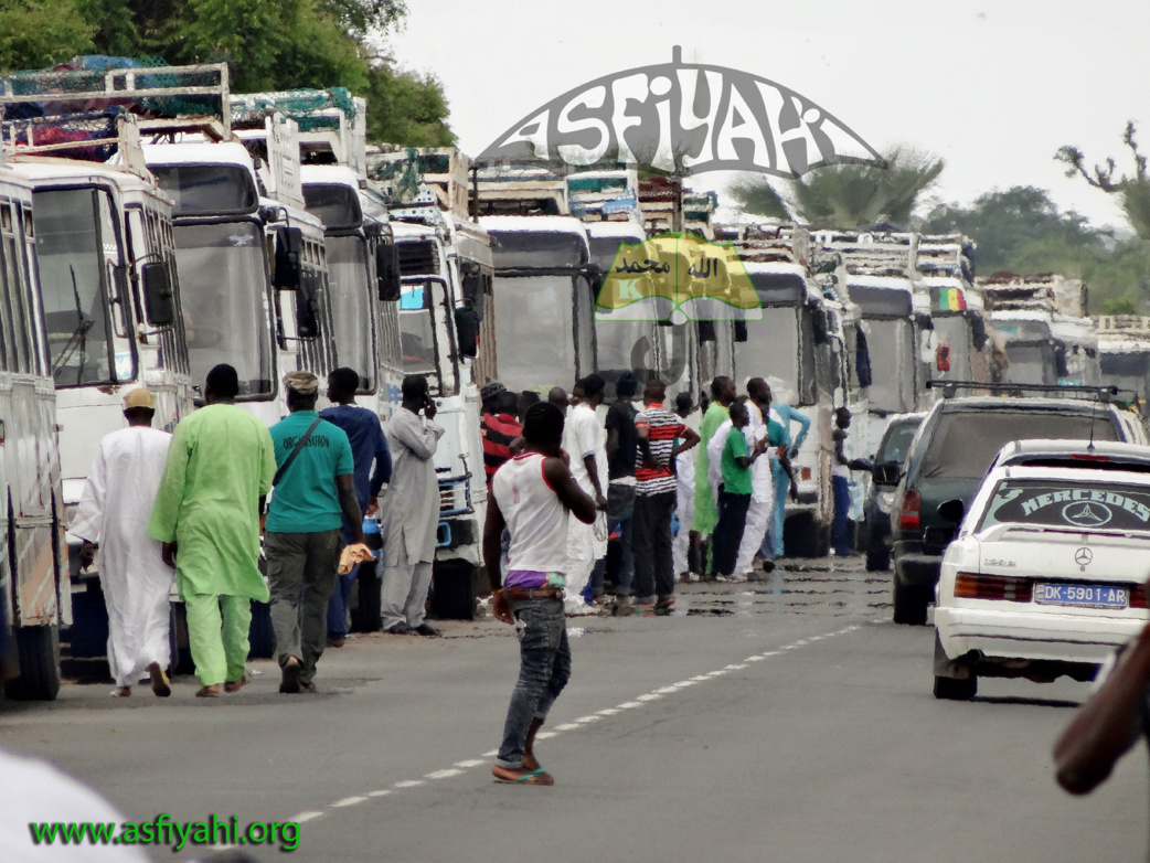 PHOTOS : Les Images de la Ziarra 2015 de la coordination des Jeunes Tidianes de Ouakam , Ngor et Yoff, Samedi 1er Aout 2015 à Tivaouane 