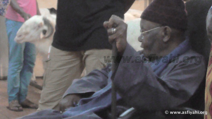 PHOTOS - "KHAROU TIVAOUANE" - Les Images de la traditionnelle ceremonie annuelle de distribution de Moutons 