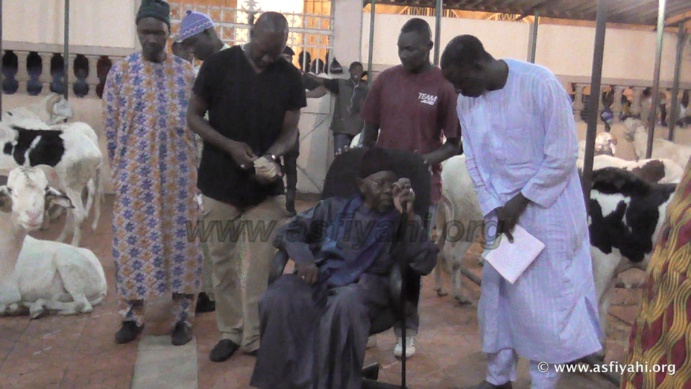 PHOTOS - "KHAROU TIVAOUANE" - Les Images de la traditionnelle ceremonie annuelle de distribution de Moutons PHOTOS - "KHAROU TIVAOUANE" - Les Images de la traditionnelle ceremonie annuelle de distribution de Moutons