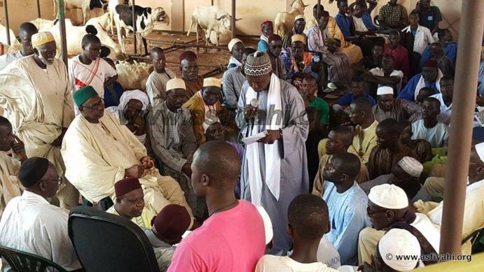 PHOTOS - "KHAROU TIVAOUANE" - Les Images de la traditionnelle ceremonie annuelle de distribution de Moutons 