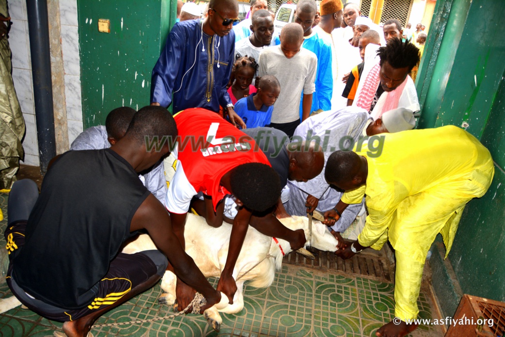 PHOTOS - TABASKI 2015 - Regardez les Images de la Prière à la Zawiya El Hadj Malick SY de Dakar