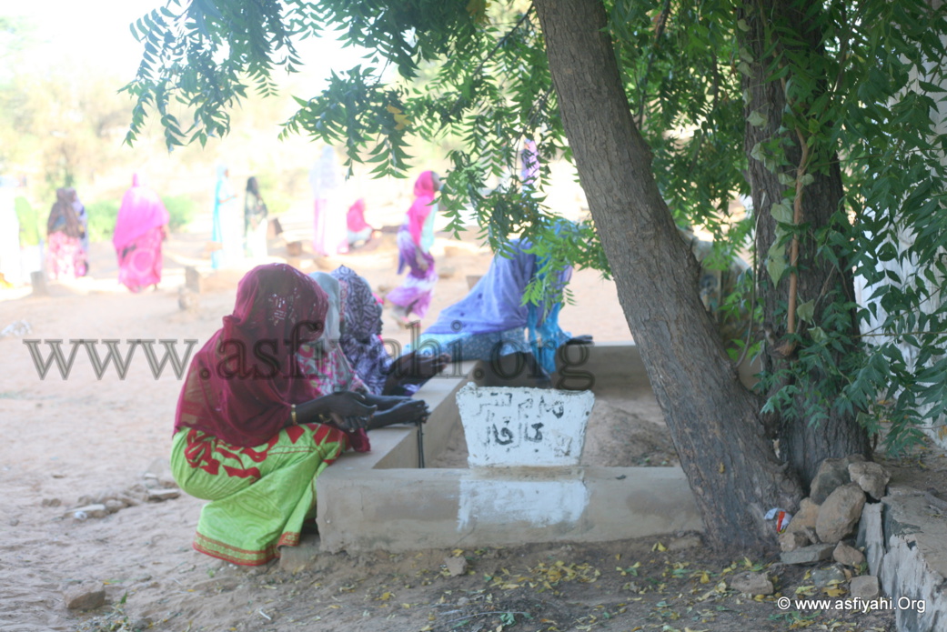 PHOTOS - Découvrez les Images de la Ziarra Nguick 2015 de Wakeur Cheikhna Abass Sall (rta)