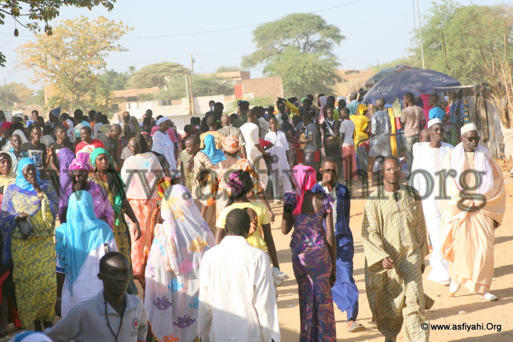 PHOTOS - Découvrez les Images de la Ziarra Nguick 2015 de Wakeur Cheikhna Abass Sall (rta)