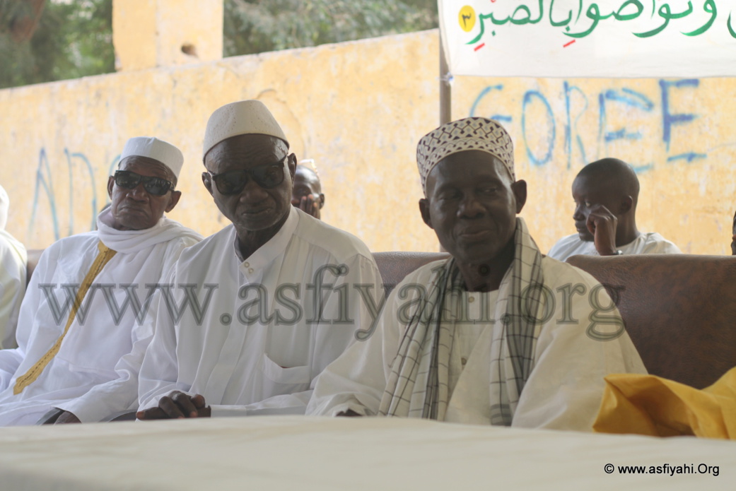 PHOTOS - Les Images de la Journée El Hadj Malick SY organisée sur l'île de Gorée ce Samedi 5 Décembre 2015 par le Diamiya des Jeunes Tidianes de Dakar Plateau , Gorée et environs