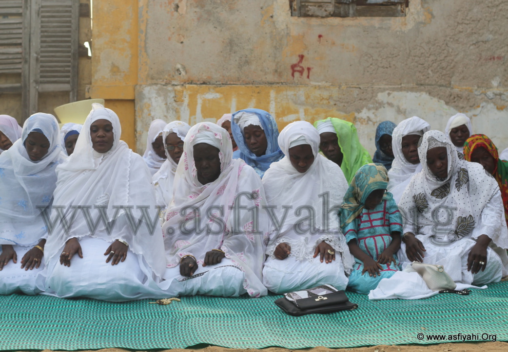 PHOTOS - Les Images de la Journée El Hadj Malick SY organisée sur l'île de Gorée ce Samedi 5 Décembre 2015 par le Diamiya des Jeunes Tidianes de Dakar Plateau , Gorée et environs
