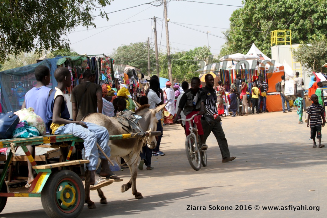 PHOTOS - SOKONE - Découvrez les Images de la Ziarra Sokone 2016, Nuit du Gamou , Cérémonie Officielle et quelques temps forts