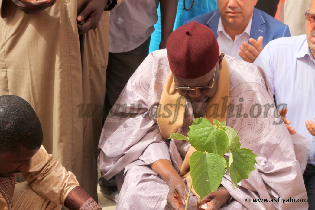 PHOTOS - 7 MAI 2016 À TIVAOUANE - Serigne Abdoul Aziz SY Al Amine réceptionne le Nouveau Daara Khalifa Ababacar SY réhabilité par une association Turque PHOTOS - 7 MAI 2016 À TIVAOUANE - Serigne Abdoul Aziz SY Al Amine réceptionne le Nouveau Daara Khalifa Ababacar SY réhabilité par une association Turque
