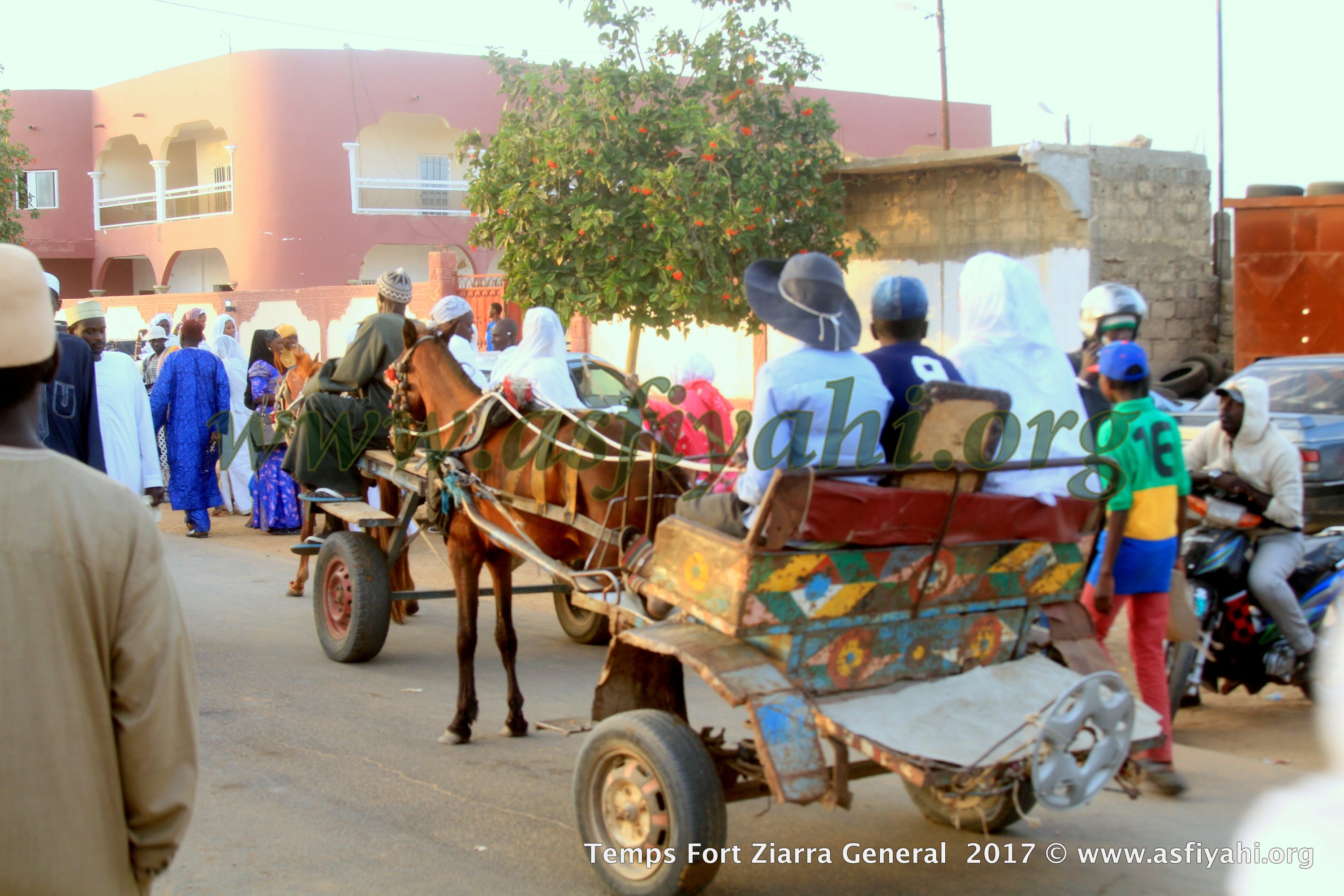 PHOTOS - ALBUM 3 - ZIARRE GENERALE 2017 - Les fidèles s’abreuvent aux sources d'El Hadji Malick Sy (rta)